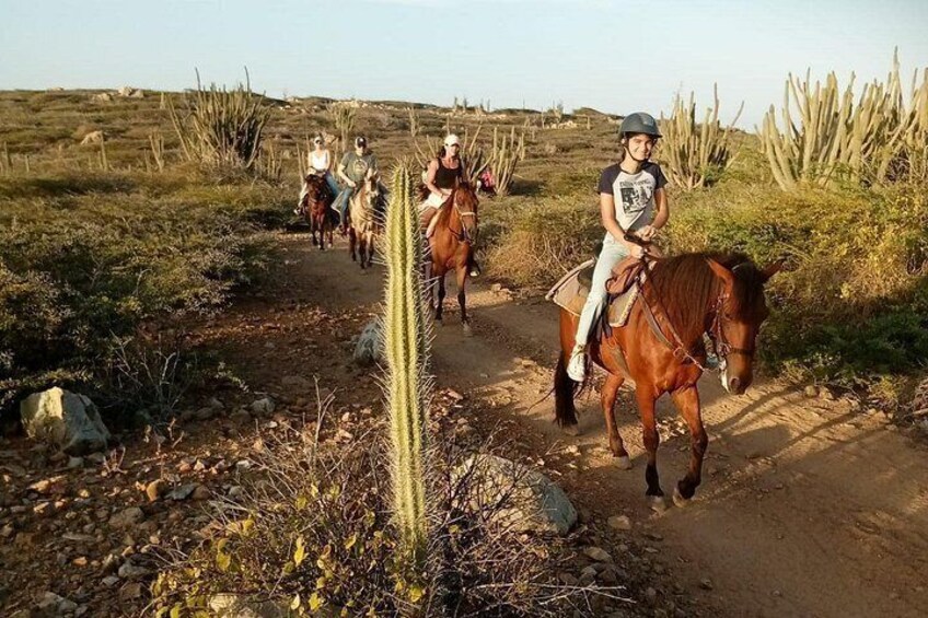 Aruba Ecological & Coastline Horseback Ride with Beach Photo Stop 4