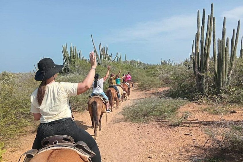 Aruba Ecological & Coastline Horseback Ride with Beach Photo Stop 2