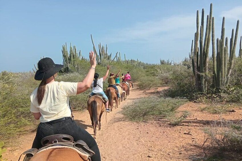 Aruba Ecological & Coastline Horseback Ride with Beach Photo Stop 2