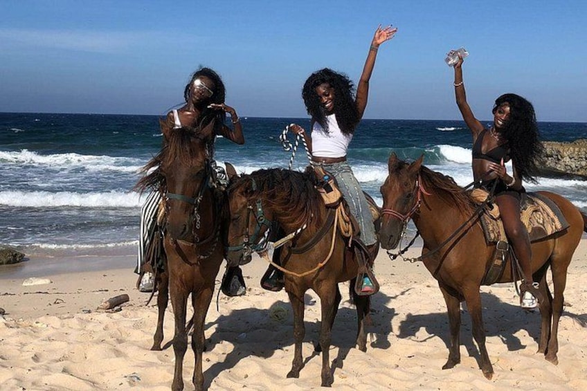 Aruba Ecological & Coastline Horseback Ride with Beach Photo Stop 5