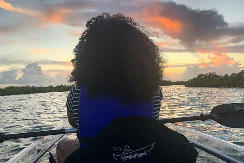 Mangrove Clear Kayak Tour 2
