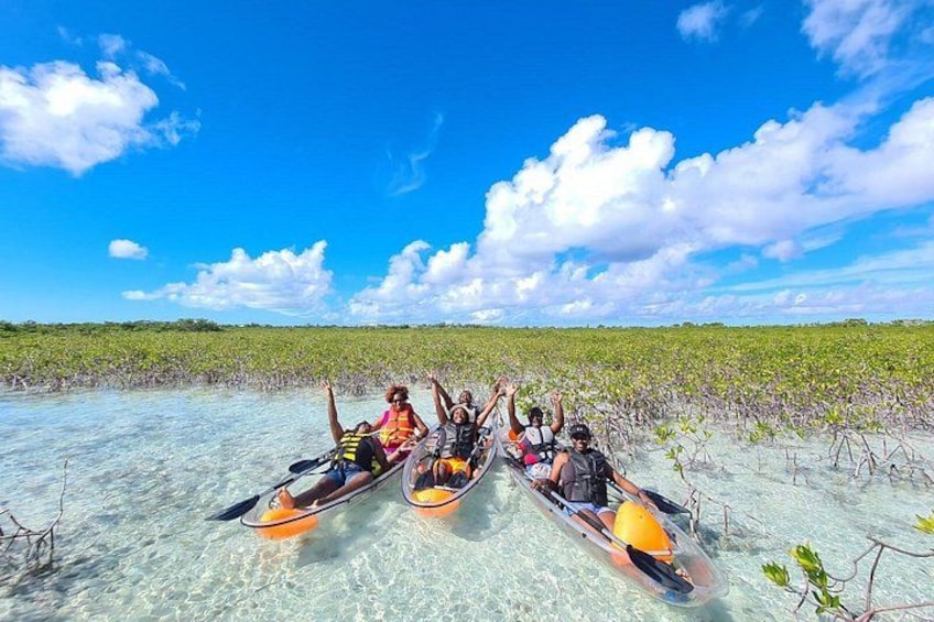 Mangrove Clear Kayak Tour 2