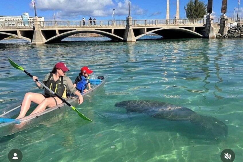 Clear Kayak Tour in Condado Lagoon 2