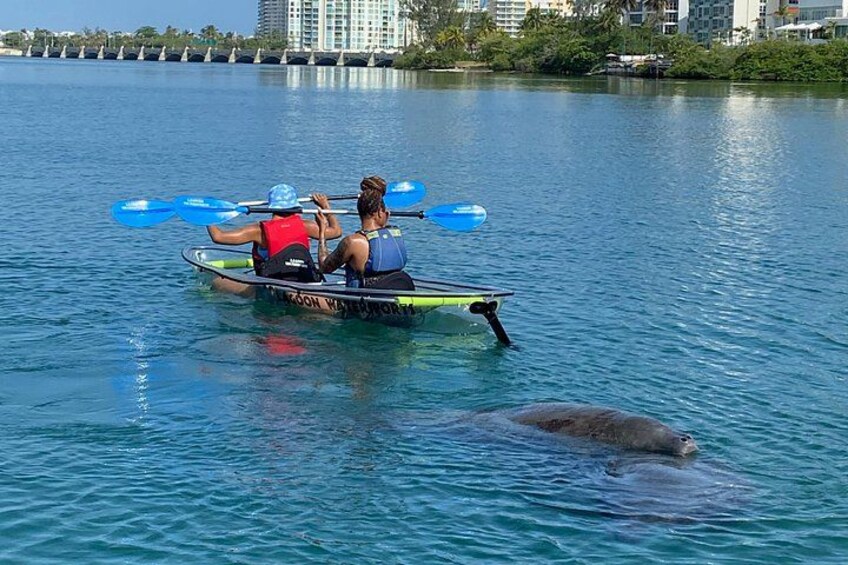 Clear Kayak Tour in Condado Lagoon 4