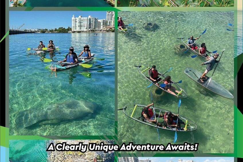 Clear Kayak Tour in Condado Lagoon 2