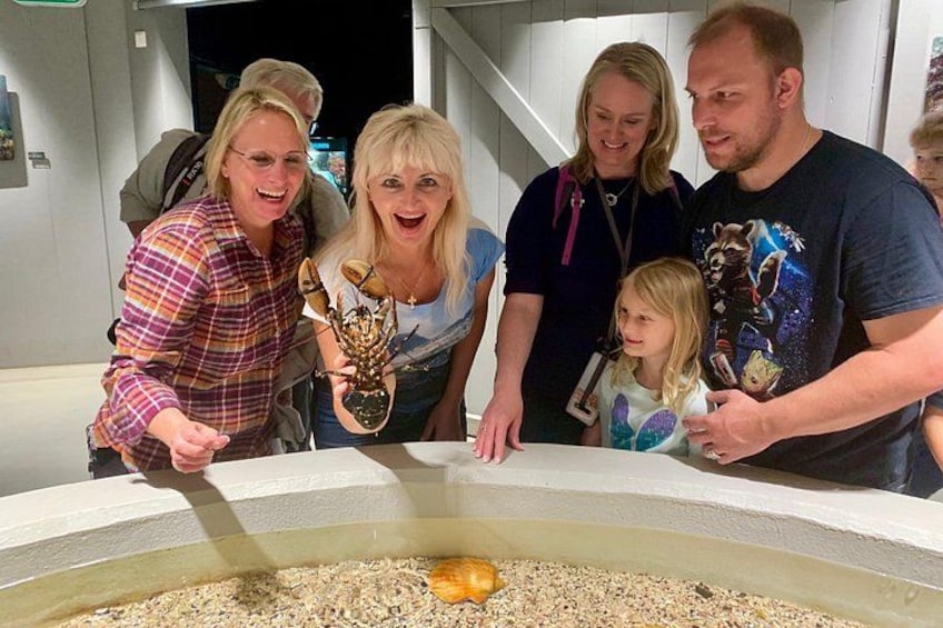 A group of people at a table with a large aquarium filled with fish and a turtle. 2