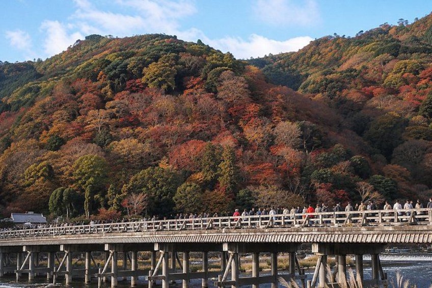 Kyoto Private Car Charter with English Driver Flexible Itinerary 2
