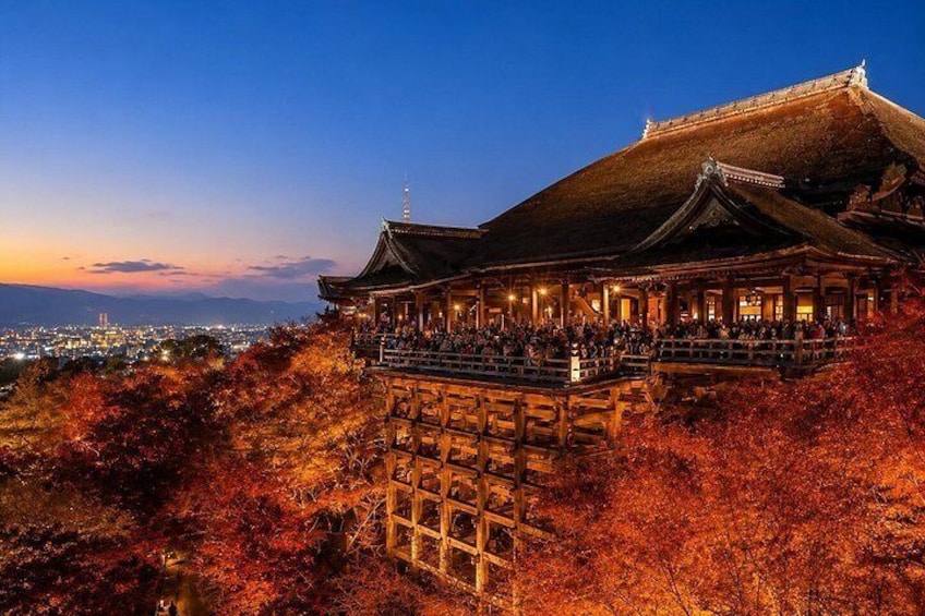 Kyoto Private Car Charter with English Driver Flexible Itinerary 3