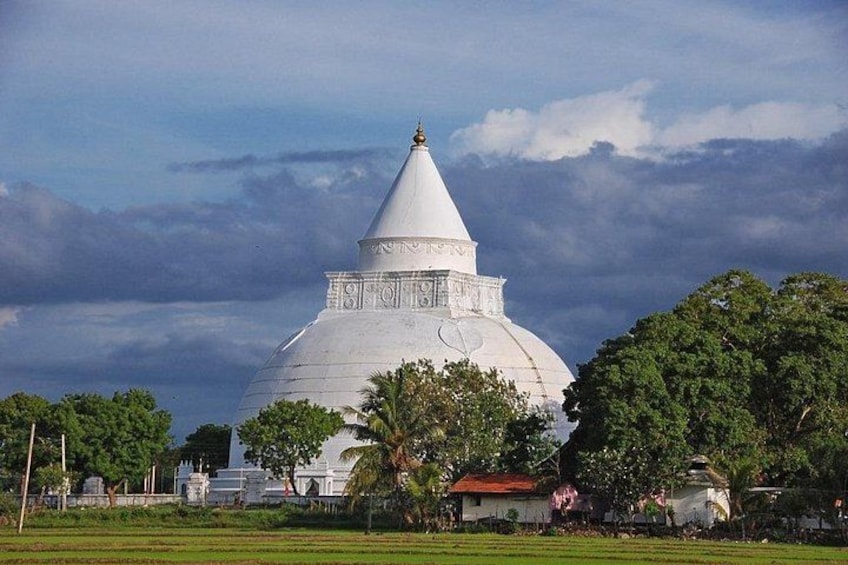 8-Day Sri Lanka Private Tour |Sigiriya, Kandy' Ella, Yala |Hotels 3
