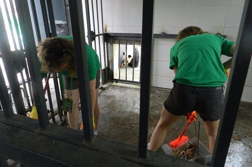 Two people cleaning a cage with a dog inside. 4