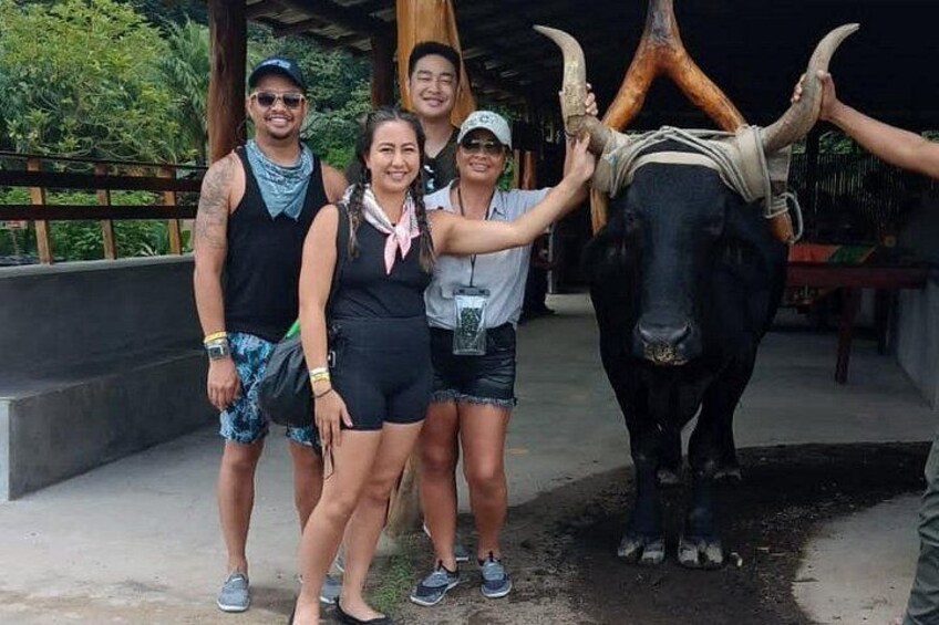 Un grupo de personas posando con una gran estatua de toro. 2