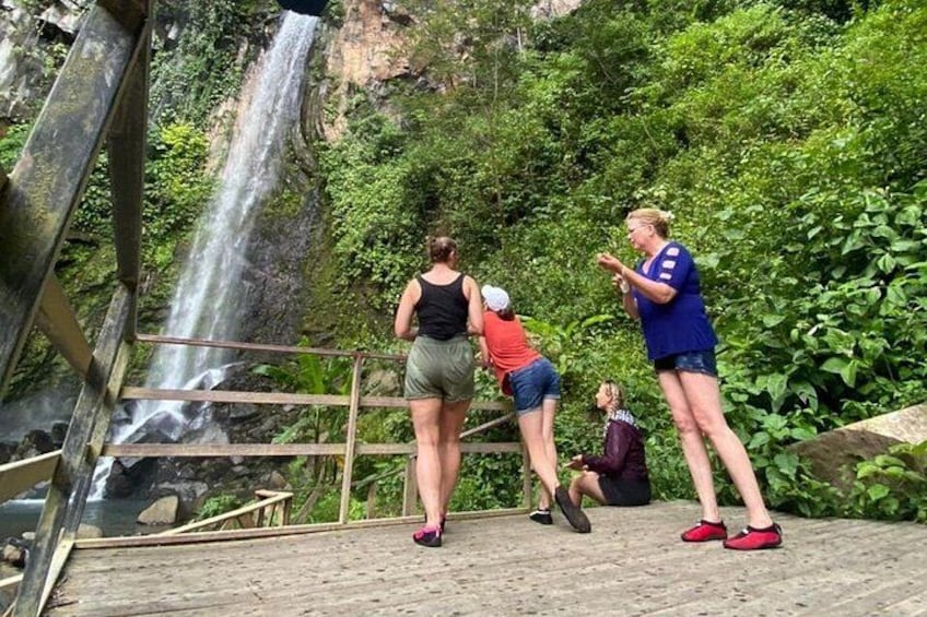 Una cascada, un puente de madera y abundante vegetación. 3