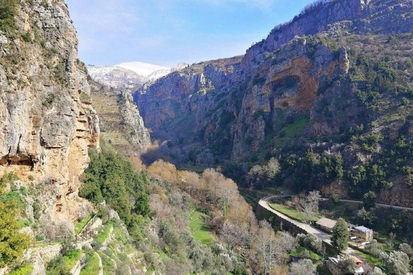 PRIVATE Tour to Cedars of God, Besharre & Qozhaya Valley 3