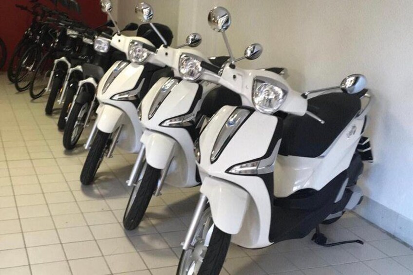 A fleet of 125cc electric scooters and scooters to meet your every need !!