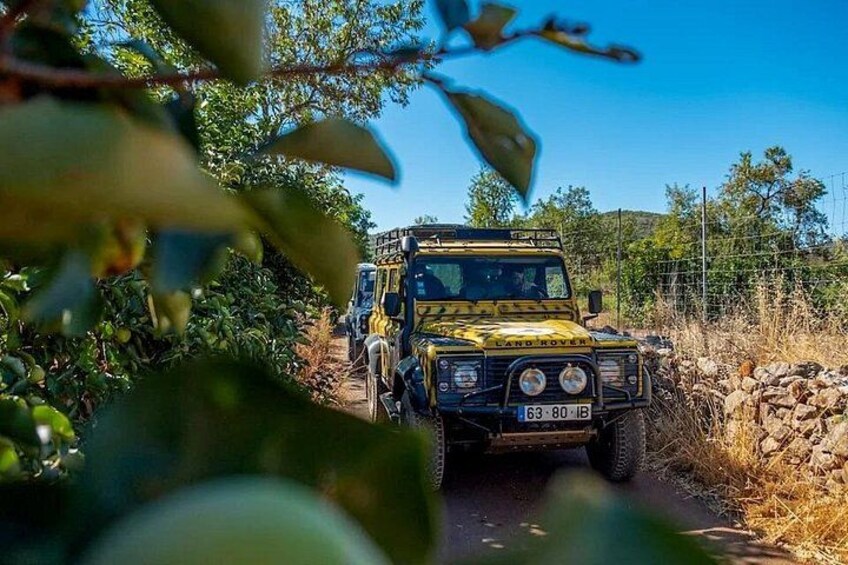 Jeep Safari Tour - Full Day 5