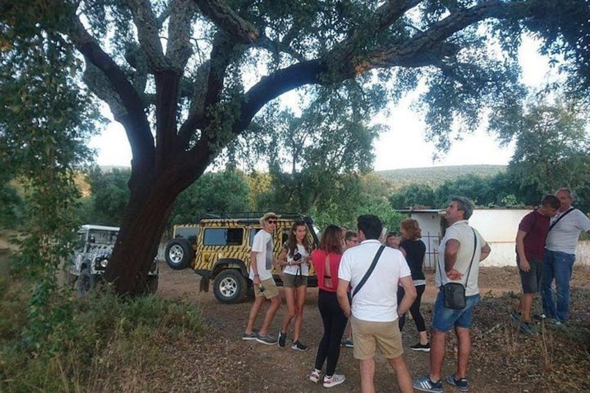 Jeep Safari Tour - Full Day 3