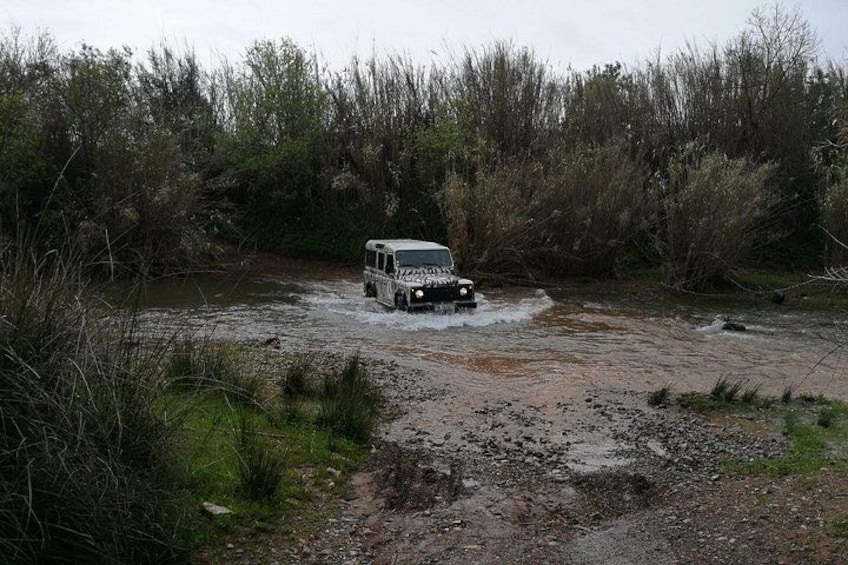 Jeep Safari Tour - Full Day 5