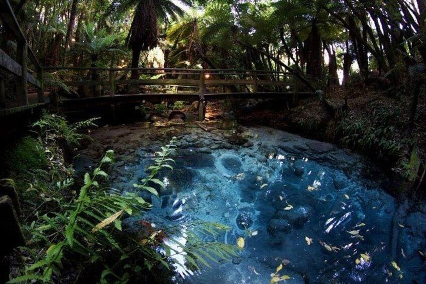 Puna Tapu A Tuhoe - Sacred Spring 1