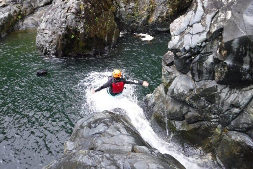 Small-Group Forest Waterfall Slides Adventure in Puerto Rico