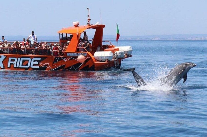 A boat with people on board and a dolphin jumping out of the water. 1