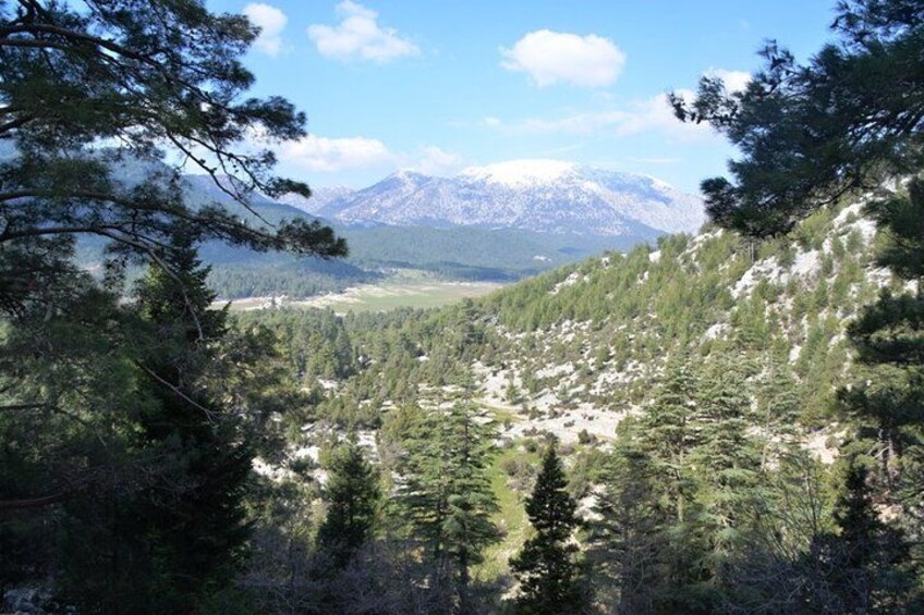 Highlands Taurus 5