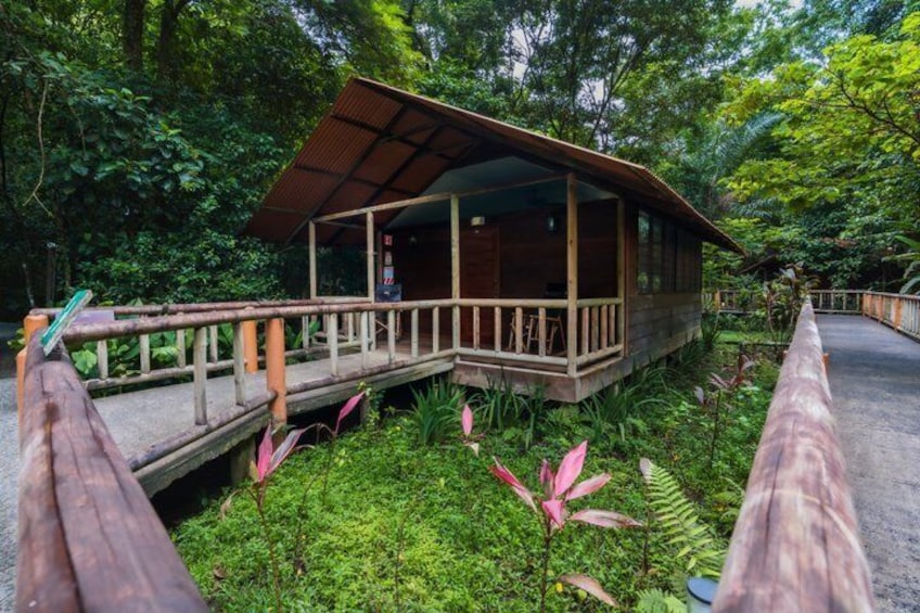 A wooden cabin with a porch, surrounded by lush greenery and a small bridge. 2
