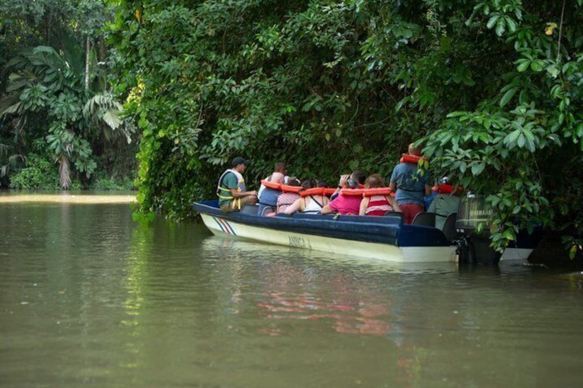 A boat with passengers wearing life jackets on a river surrounded by dense foliage. 4