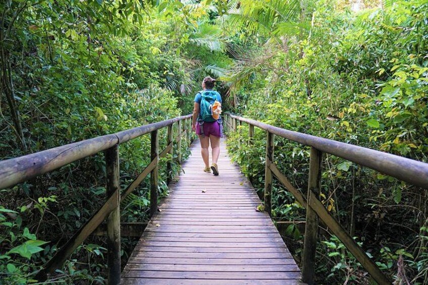 Costa Rica Wild : Premium All Inclusive Experience 8 Days 1