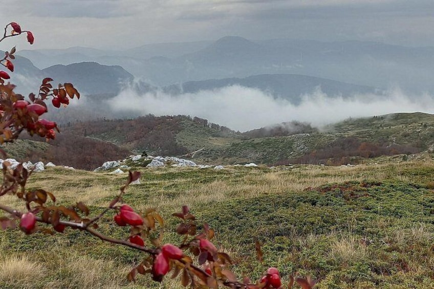 From Sarajevo: Full-Day Hike to Lukomir Village 4