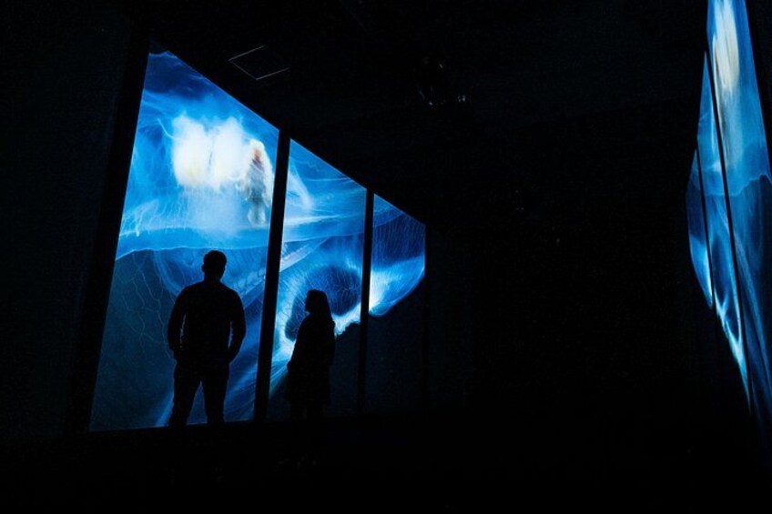 Oceanario | One, The Ocean as you Never Felt It Exhibition 2