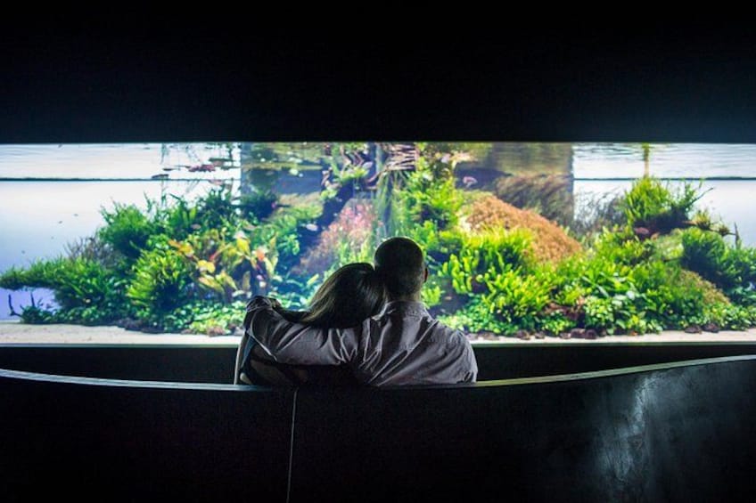 Oceanario | Forests Underwater Exhibition 4