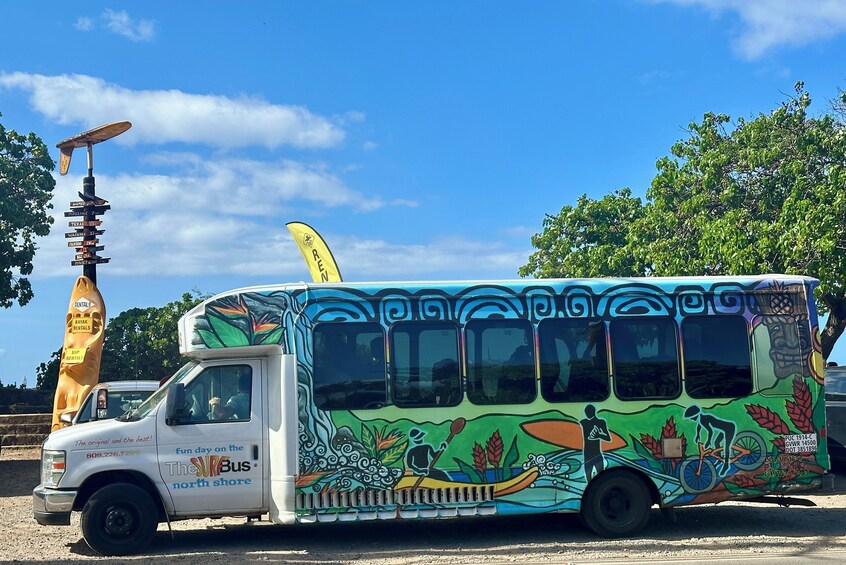 Island Tour + Snorkel and Waterfall 5