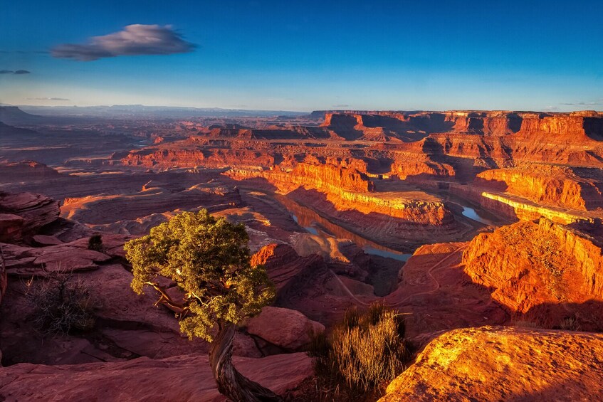 A canyon landscape with a tree in the foreground and a river running through it. 5