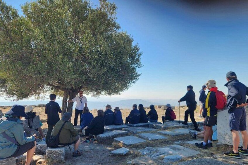 A group of people sitting and standing outdoors near a tree, with a clear sky and a distant view of the sea. 2