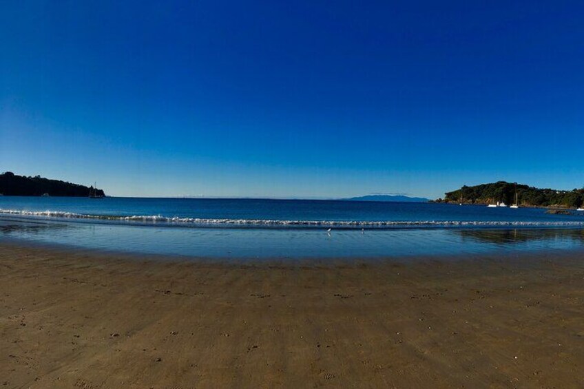 Waiheke Island Premium Wine Tour with Tastings 4