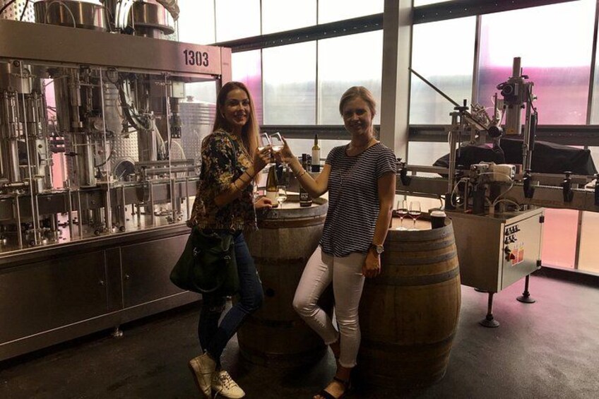 Waiheke Island Premium Wine Tour with Tastings 3