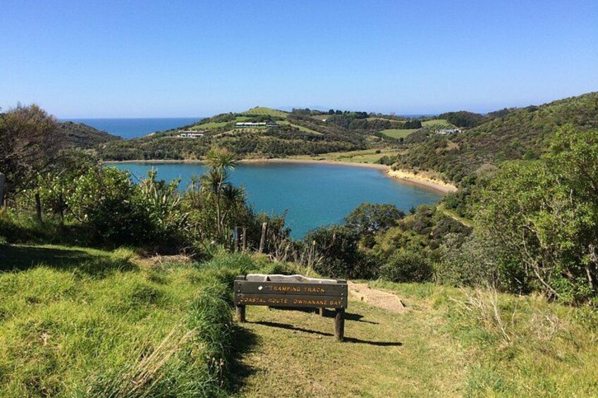 Waiheke Island Premium Wine Tour with Tastings 3