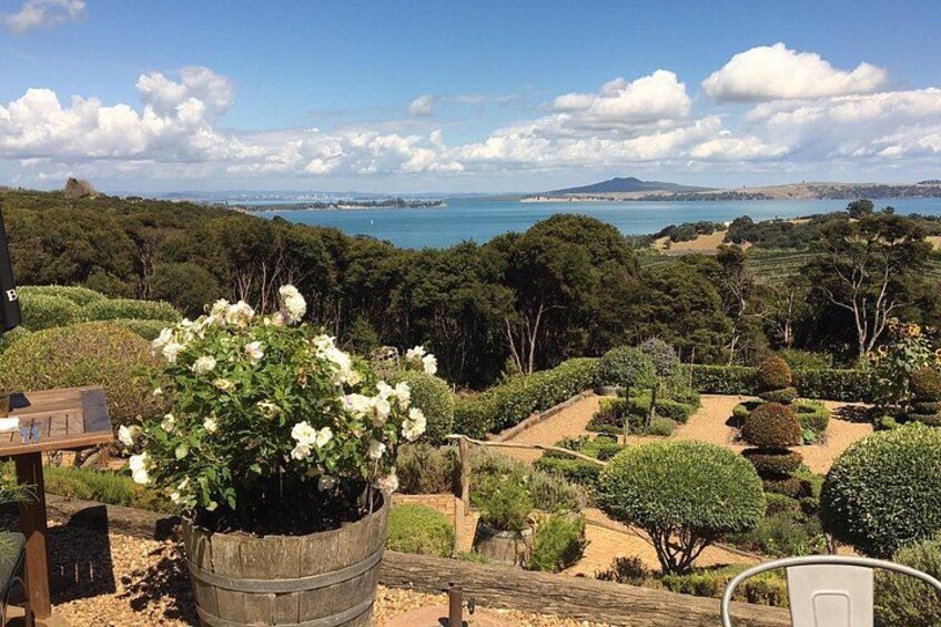 Waiheke Island Premium Wine Tour with Tastings 3