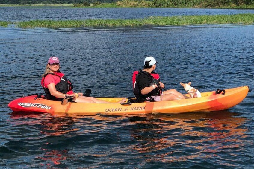PET friendly activity! 2