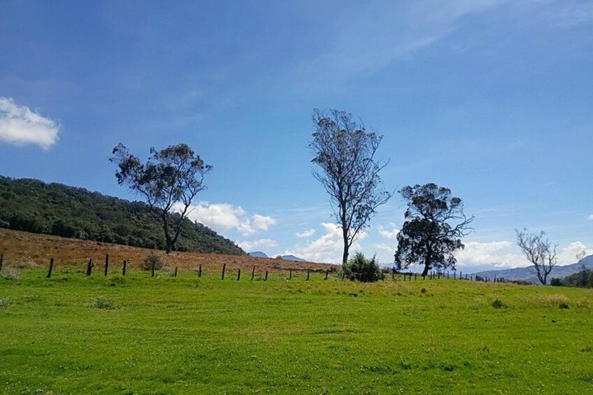 Ride along nature reserves 2