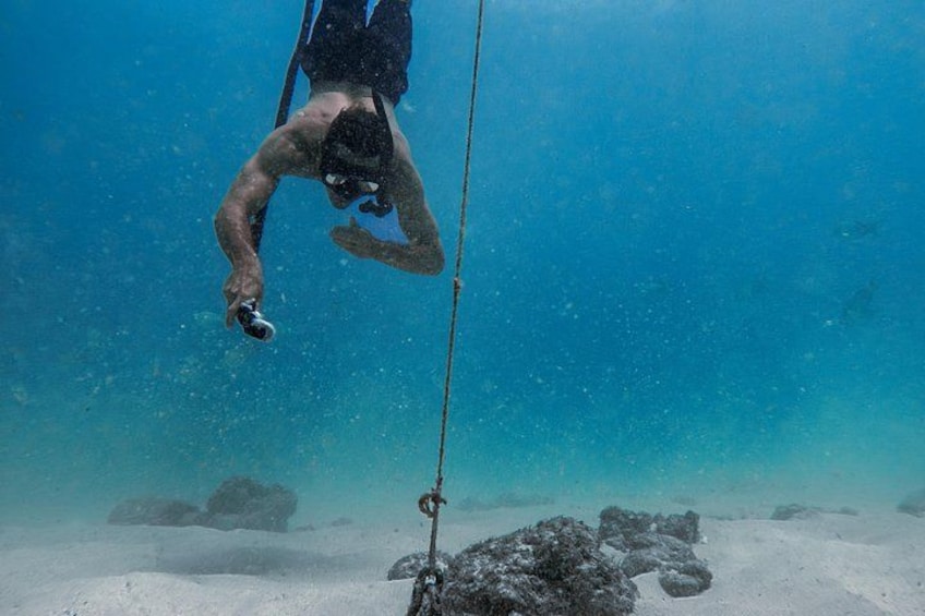 Moana’s Waikīkī Grand Guided Turtle Snorkel & Sailing Adventure 2