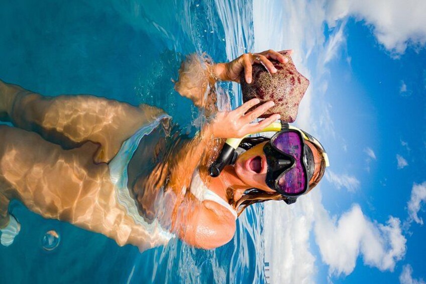 Moana’s Waikīkī Grand Guided Turtle Snorkel & Sailing Adventure 3