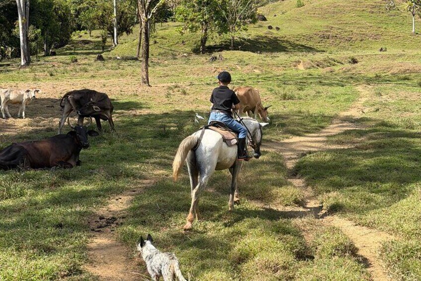 Rancho Típico Don Juan, Horseback Riding tour 2