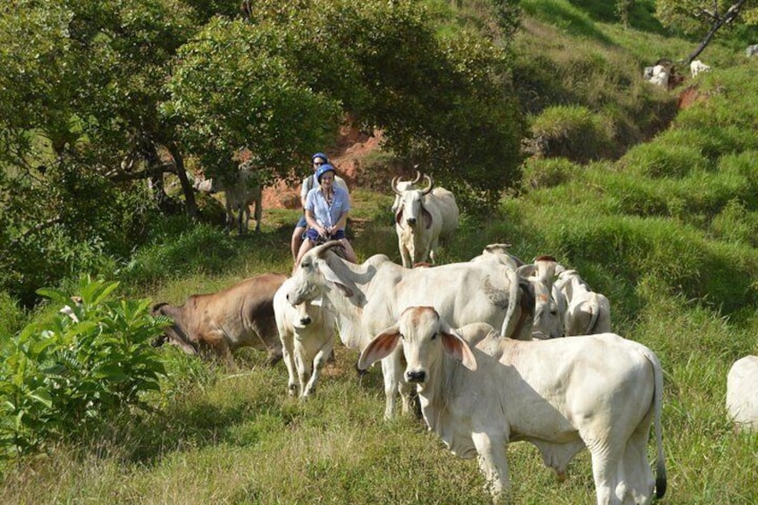 Rancho Típico Don Juan, Horseback Riding tour 2
