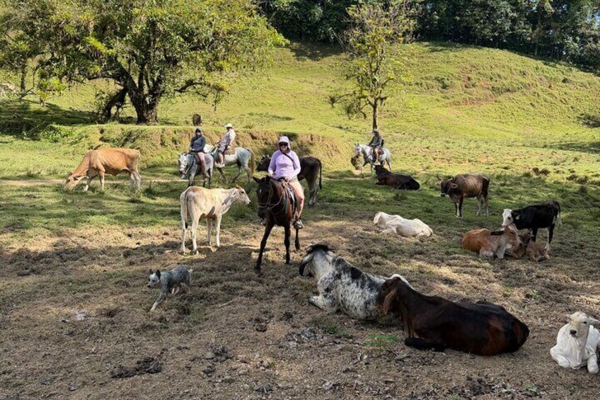 Rancho Típico Don Juan, Horseback Riding tour 3