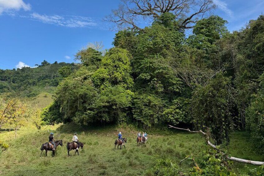 Rancho Típico Don Juan, Horseback Riding tour 4