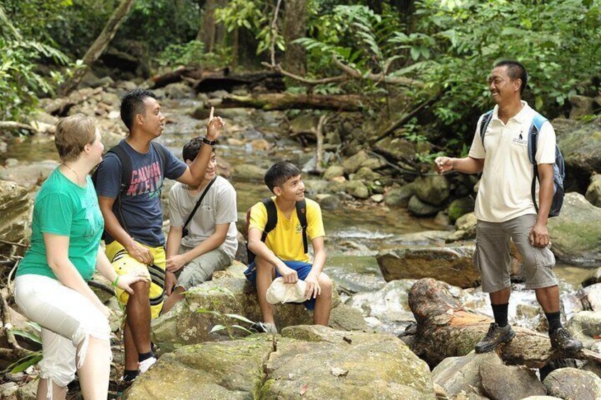 A group of people sitting and standing on rocks by a stream in a forested area. 1