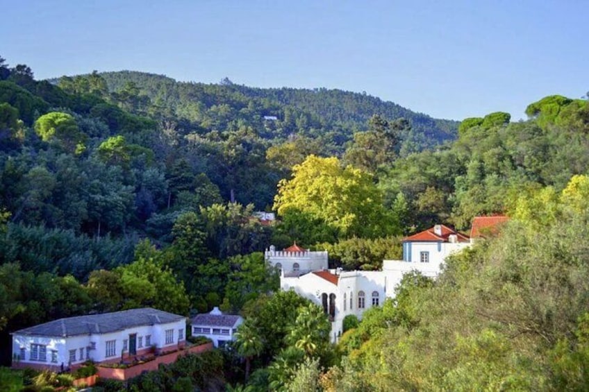 Monchique: A mountain range that challenges the senses 1