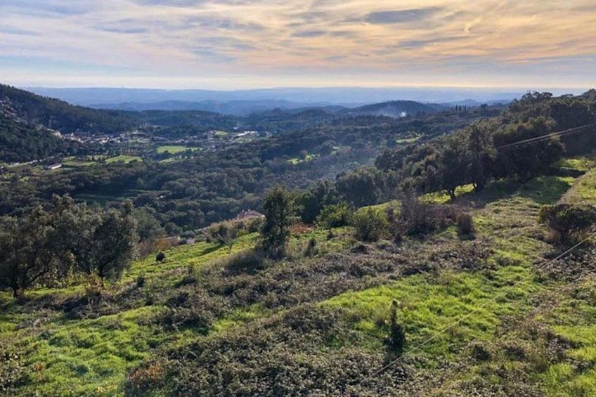 Eine hügelige Landschaft mit vereinzelten Bäumen und einem entfernten Blick auf eine Stadt. 2