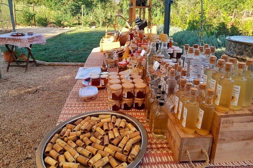 Monchique: A mountain range that challenges the senses 2